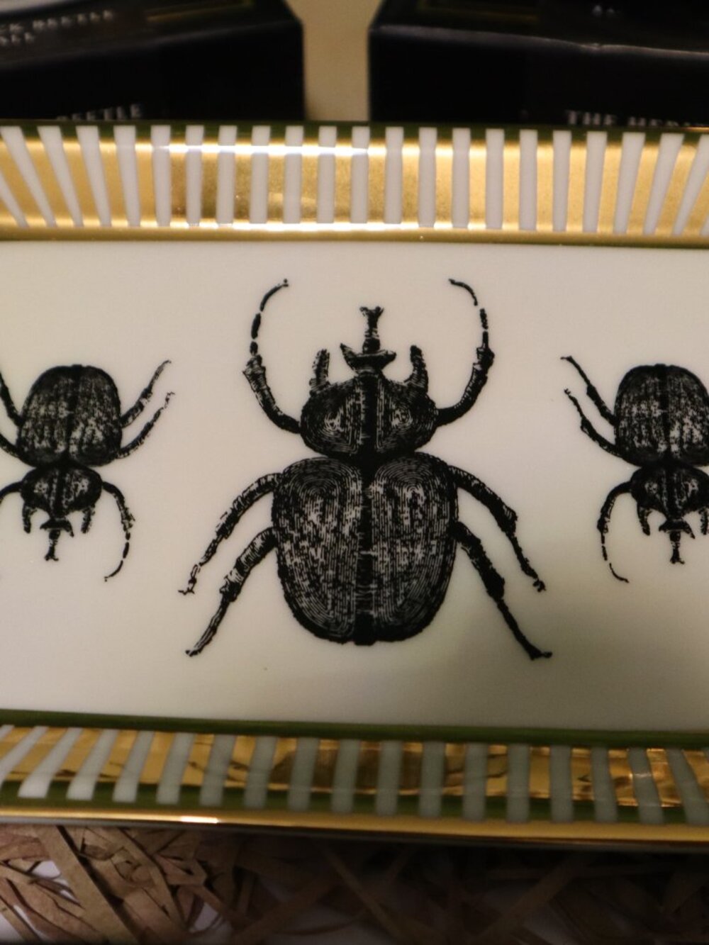 Johnathan Adler for India Hicks Beetle Collection, 3 Piece Set, Tray Catchall - Picture 3 of 8